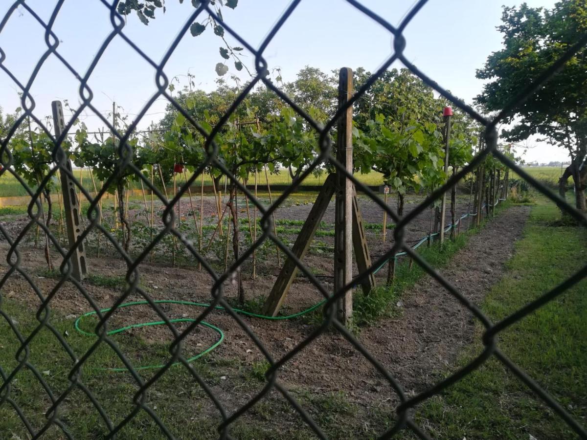 Gasthof Tenuta Madiba *